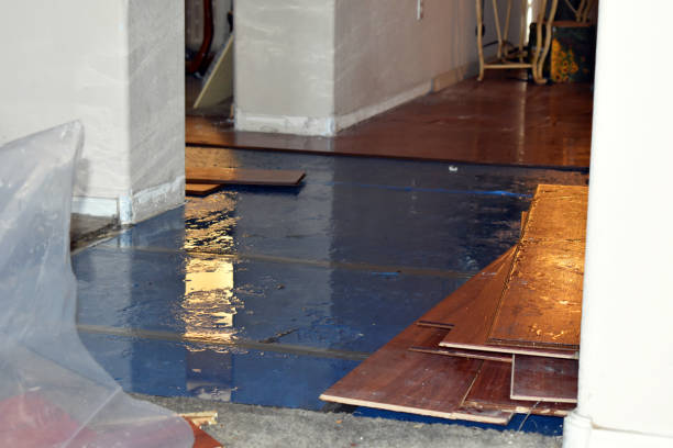 Professional Water Damage Restoration technician working in Marion, IA